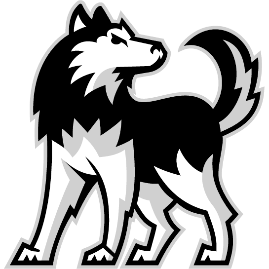 Northern Illinois Huskies 2001-Pres Alternate Logo diy iron on heat transfer